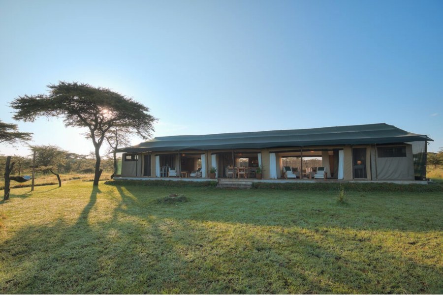 Long canvas tent with open sides on a grassy lawn beside an acacia tree at Kicheche Bush Olare