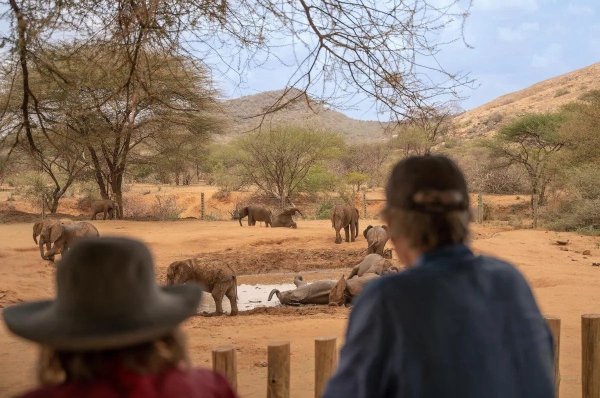 Guests watching young elephants in the Reteti Elephant Sanctuary enclosure below rocky hills
