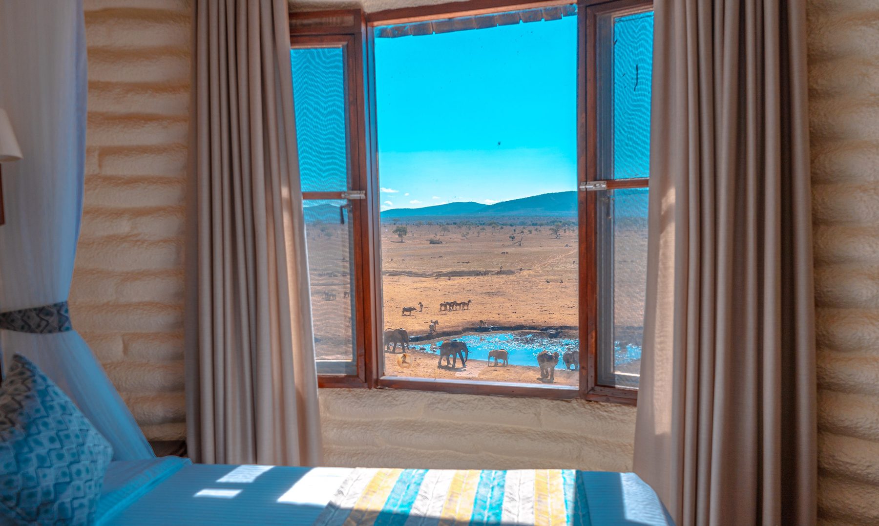 Bedroom window at Salt Lick Safari Lodge framing the waterhole and plains under a bright blue sky