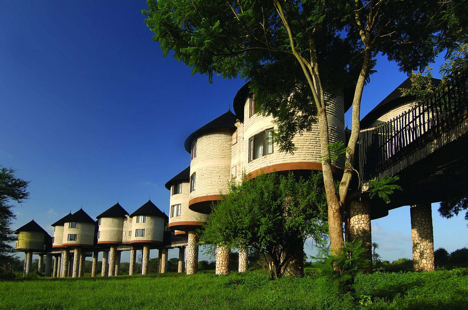 Round rooms on stilts beneath conical roofs, linked by raised walkways among trees at Salt Lick Safari Lodge