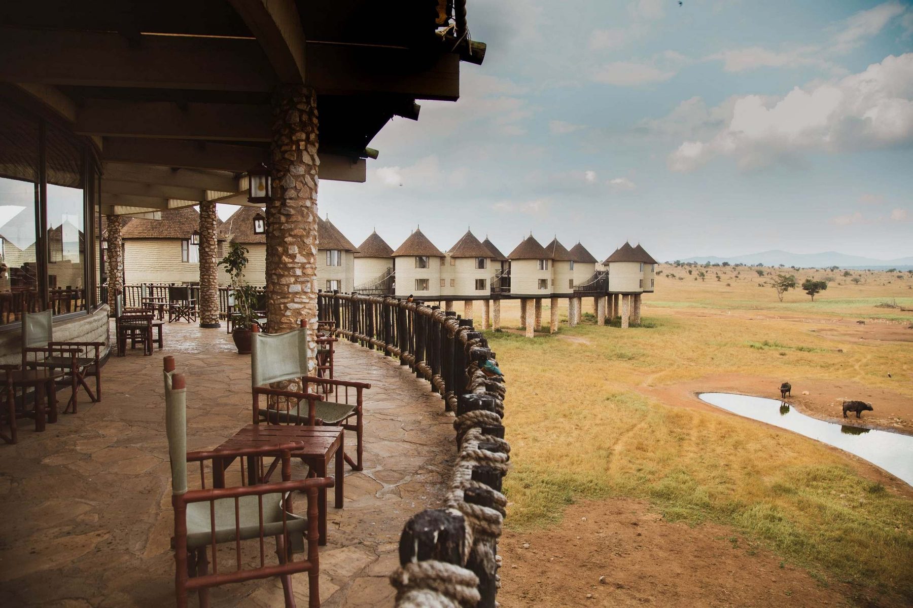 Curved stone terrace with wooden chairs at Salt Lick Safari Lodge, looking over the waterhole to stilted rooms