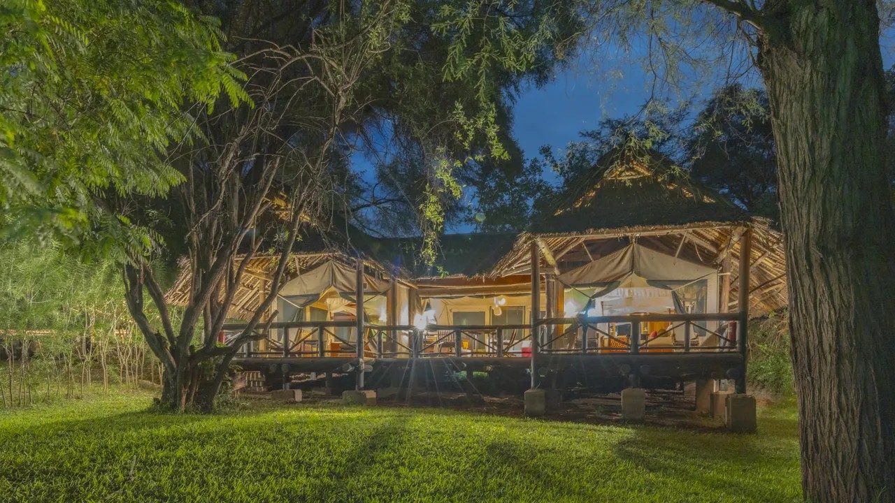 Tent on a raised wooden deck with lights glowing among trees at Samburu Intrepids at dusk