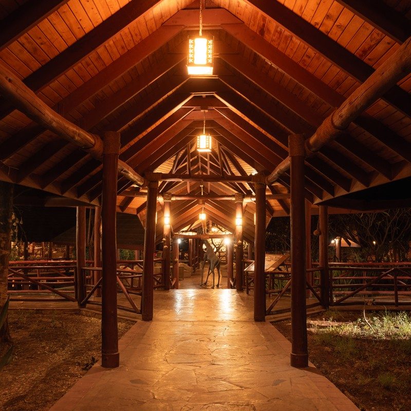 Lamp-lit walkway beneath a high timber roof leading into the main building at Samburu Simba Lodge at night