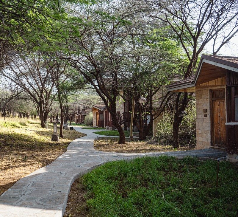 Paved path winding between trees past guest cottages at Samburu Simba Lodge