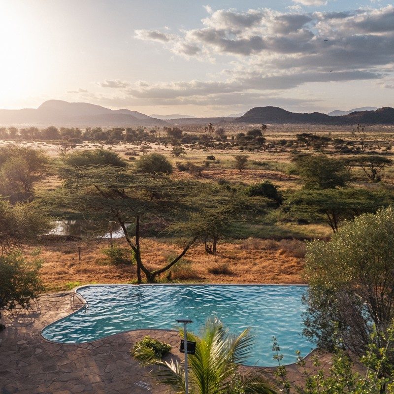 Swimming pool at Samburu Simba Lodge surrounded by acacia bush, with hills on the horizon