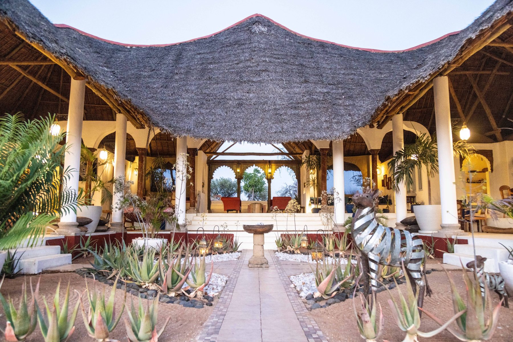 Thatched main building at Sasaab with white arches, a courtyard of aloes and a zebra-print seat
