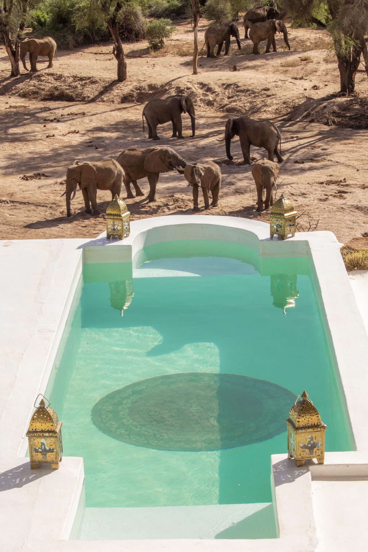Turquoise pool with lanterns at Sasaab, elephants walking on the riverbank beyond