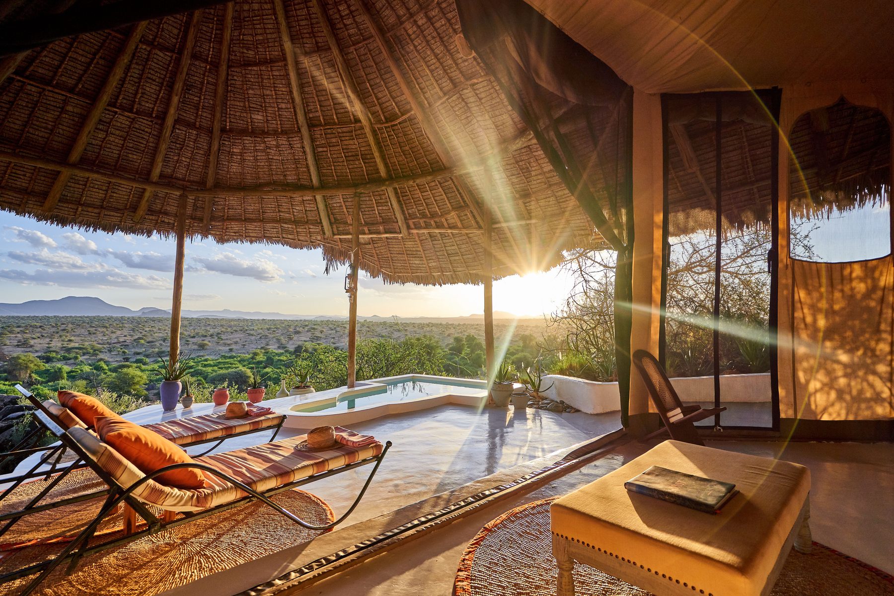 Sunlit room at Sasaab under a thatched roof, a daybed and plunge pool on the deck overlooking the bush