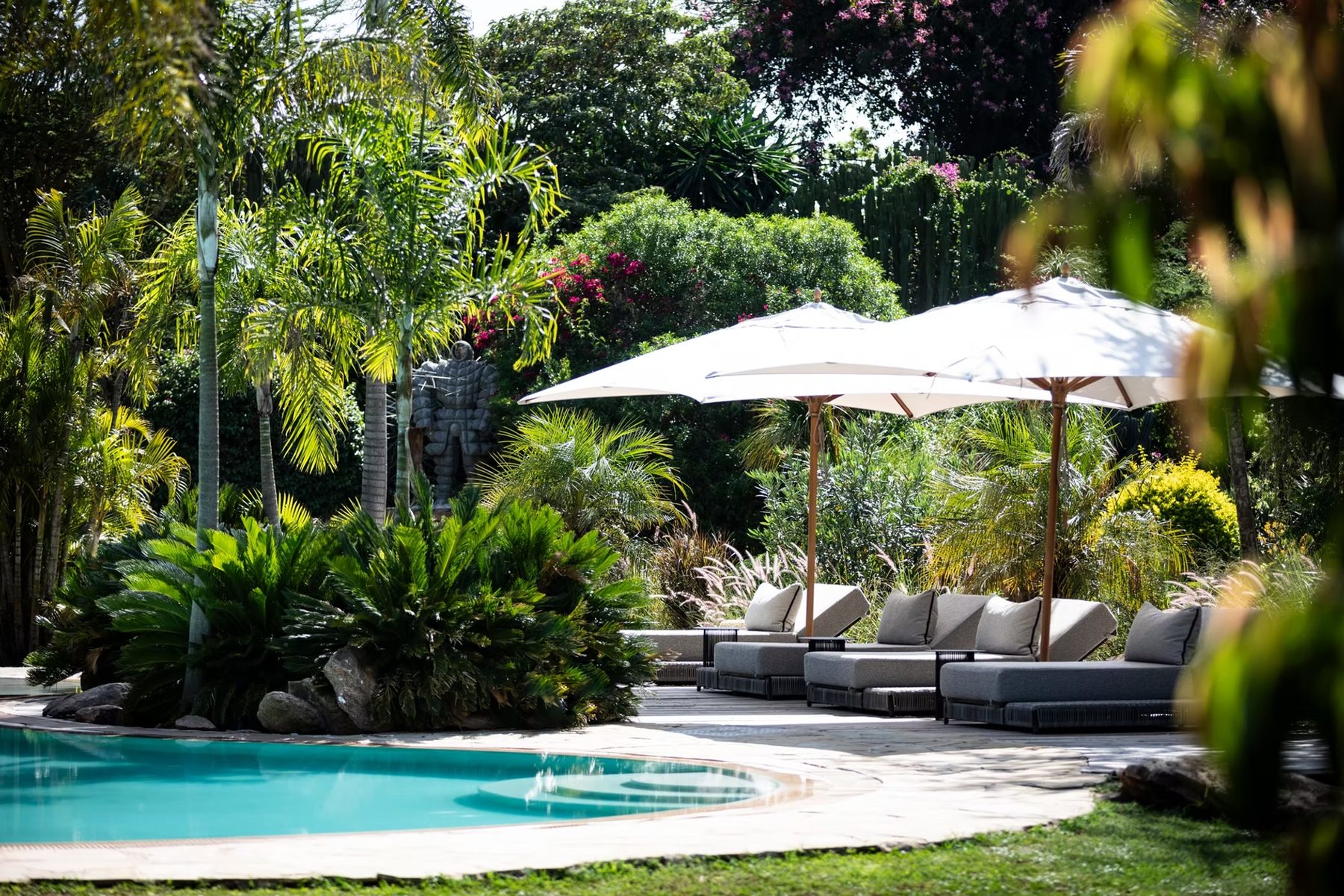 Pool fringed by palms and lush planting at Segera Retreat, with sofas shaded by white umbrellas