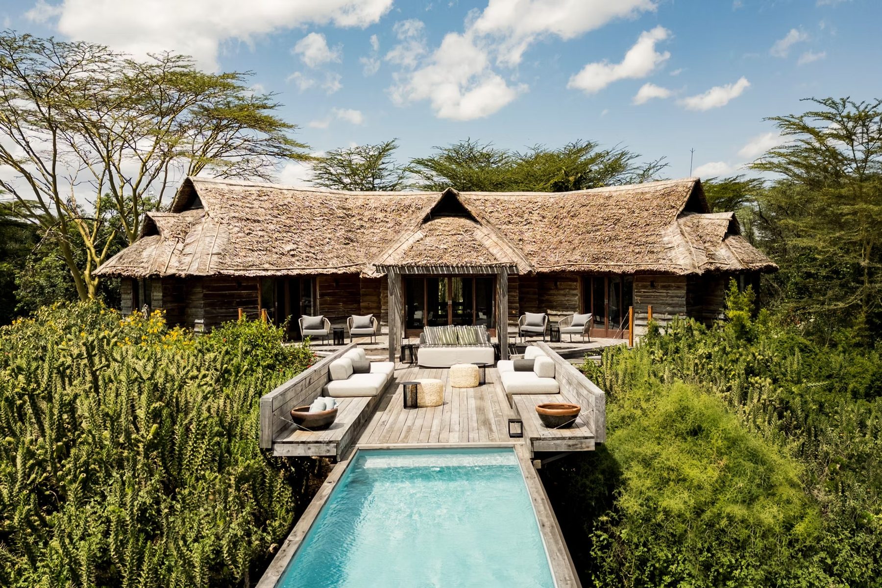 Thatched villa at Segera Retreat with a long plunge pool and cushioned deck set among cactus and green bush