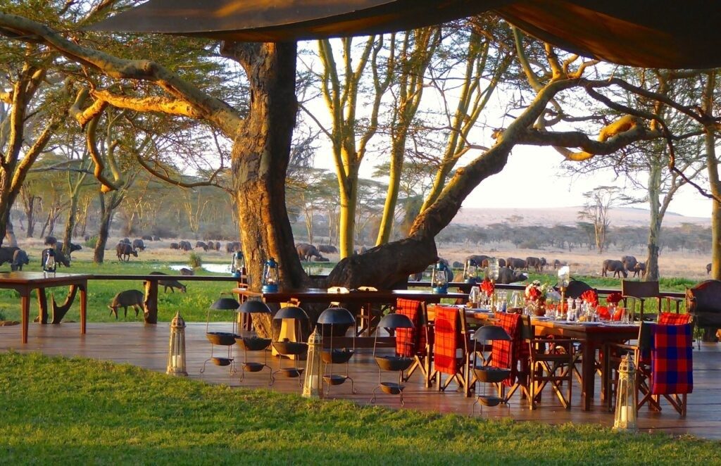 Tables laid on a deck under a large acacia at Sirikoi, with wildlife grazing on the plains beyond