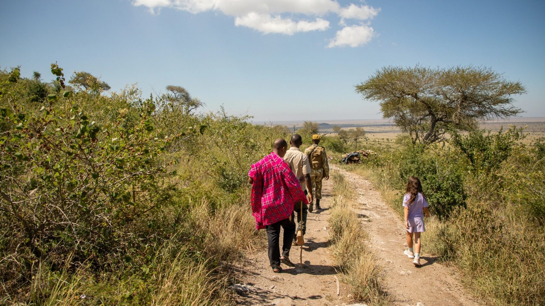 Guests following a guide along a narrow path through green bush on a walk from Soroi Cheetah Tented Camp
