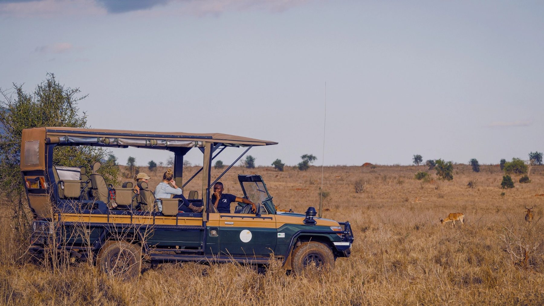 Open game drive vehicle with guests stopped on golden grassland near Soroi Cheetah Tented Camp
