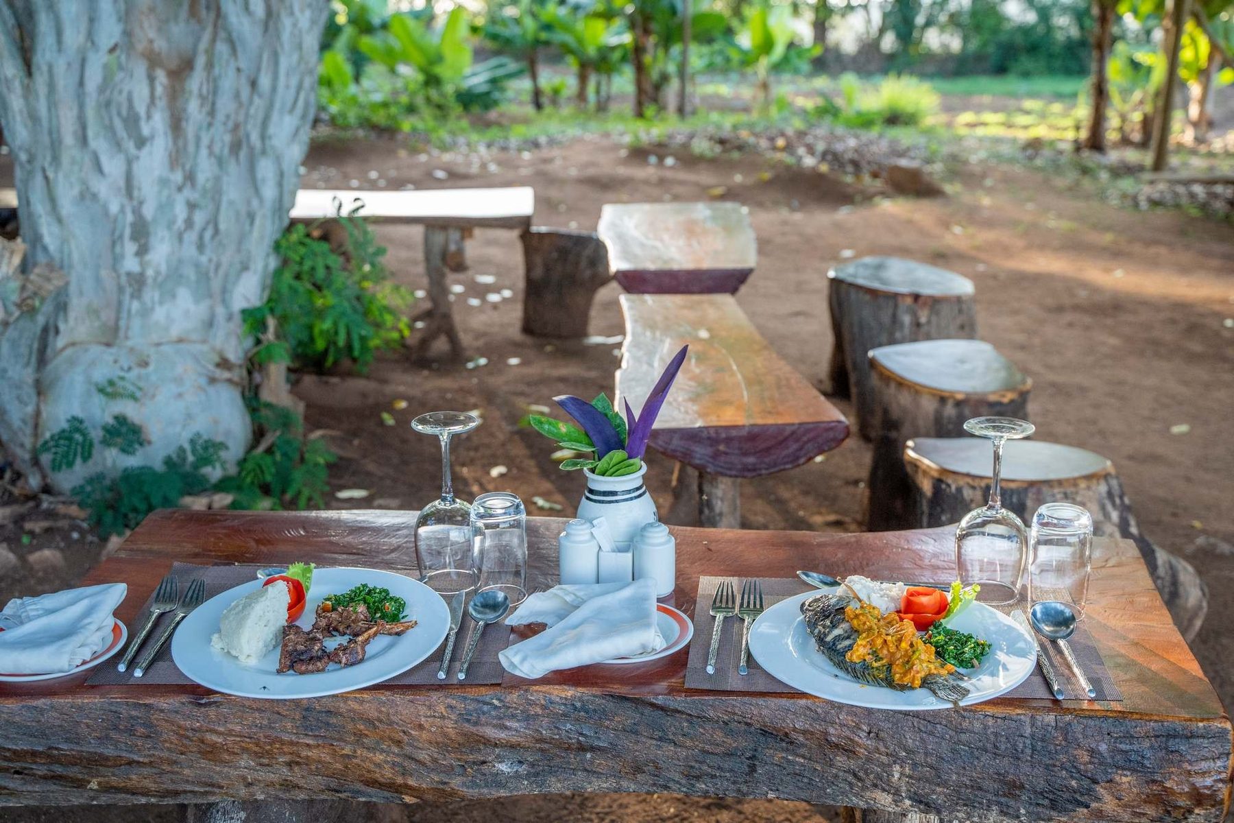 Plated meals and wine glasses on a rustic wooden table with tree-stump seats outdoors at Taita Hills Safari Resort & Spa